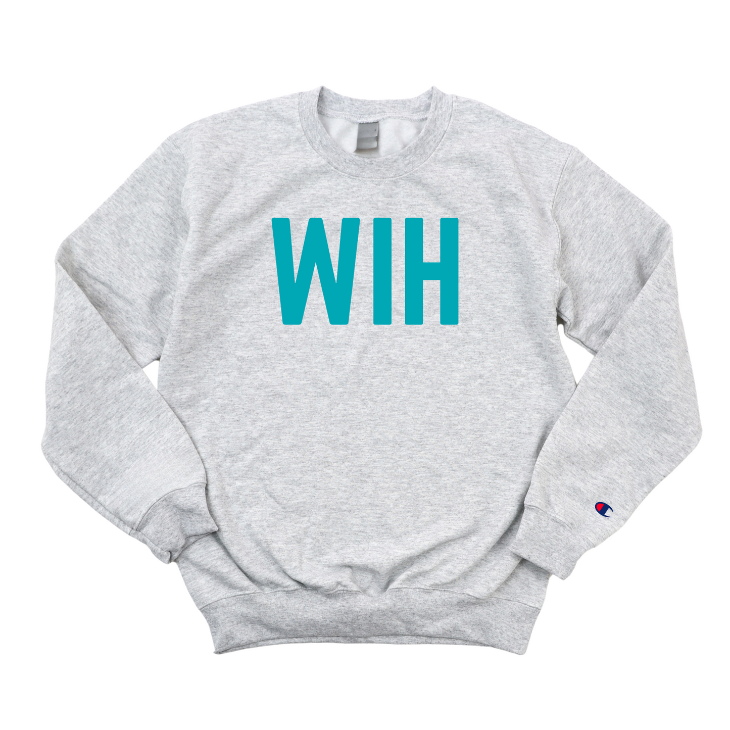 DOLPHIN WIH NONSPECIFIC CHAMPION CREWNECK