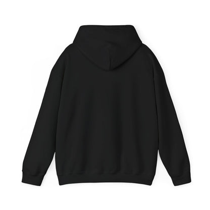 MSP FI HOODIE