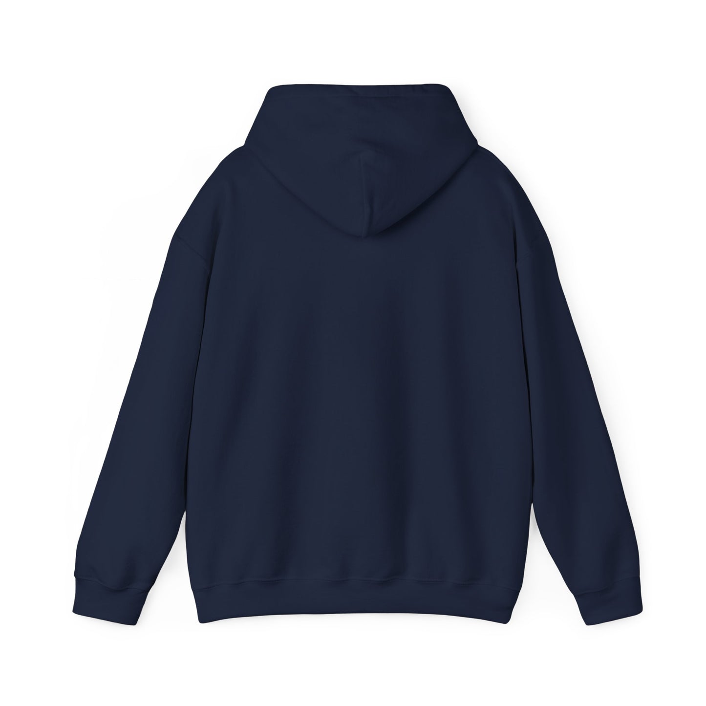 MSP FI HOODIE