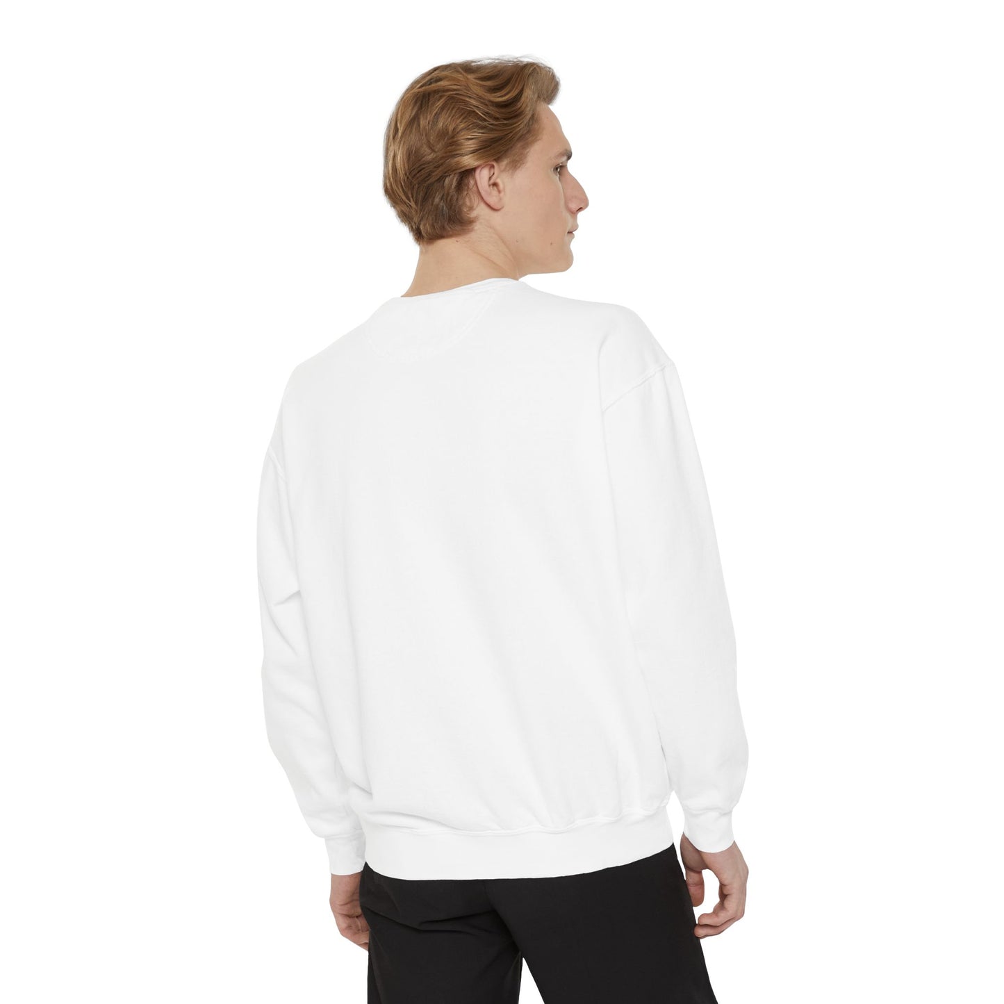 BOSTON MA VINTAGE COLLEGIATE CREWNECK SWEATSHIRT