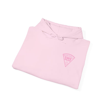 MSP BREAST CANCER AWARENESS HOODIE