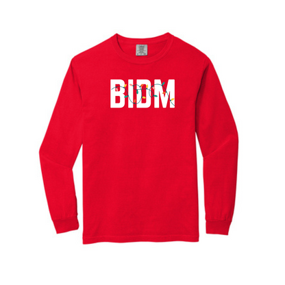 BIDM HOLIDAY LIGHTS LONG SLEEVE