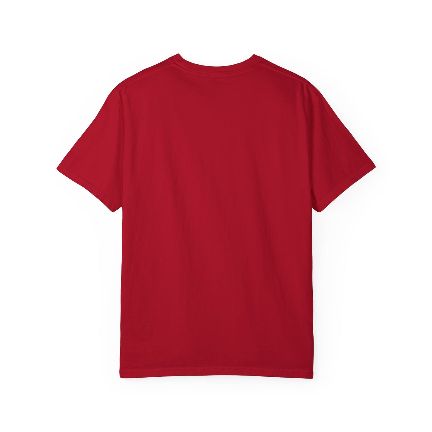 DFCI HOLIDAY LIGHTS T-SHIRT