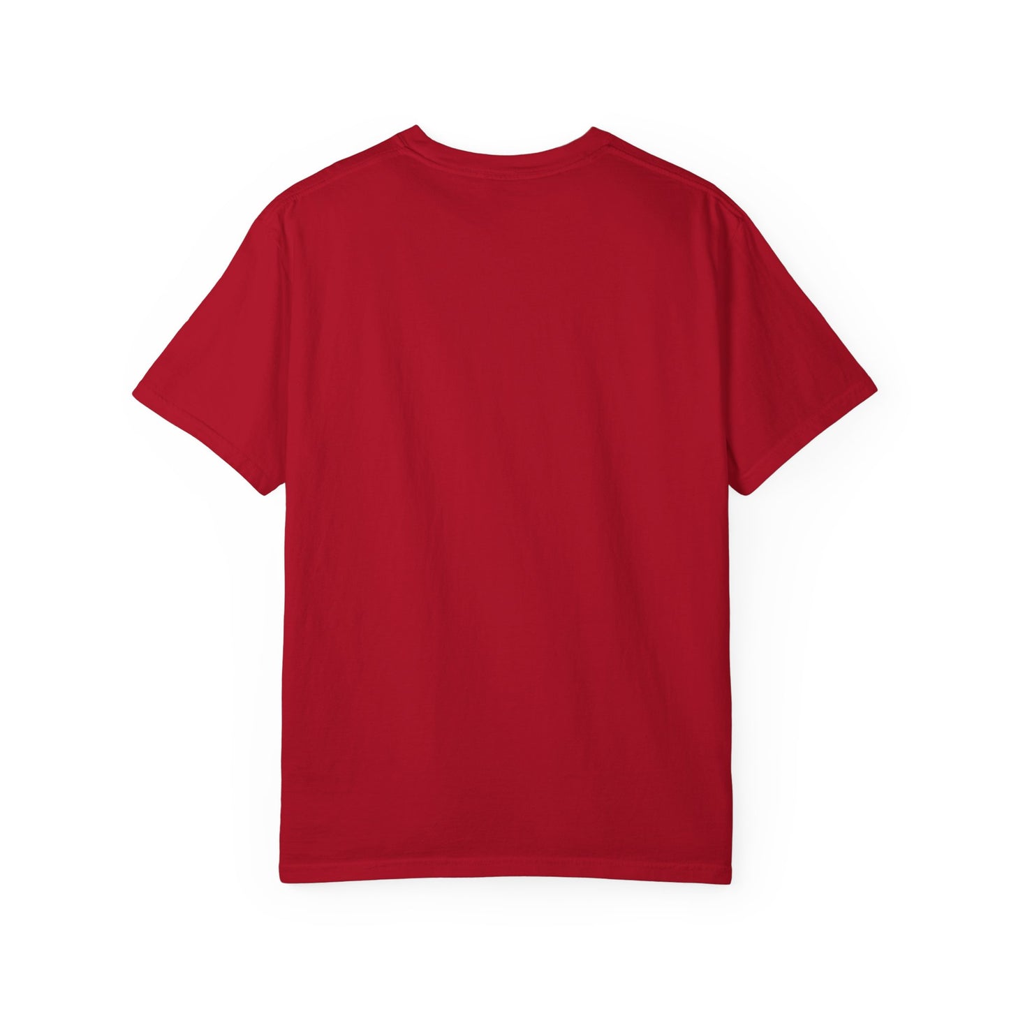 BNH HOLIDAY LIGHTS T-SHIRT