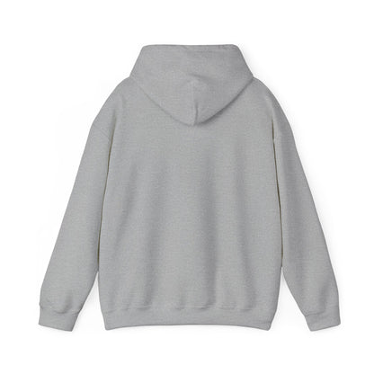 MSP STATE HOODIE