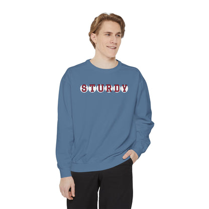 STURDY RETIRED SOX LETTER CREWNECK