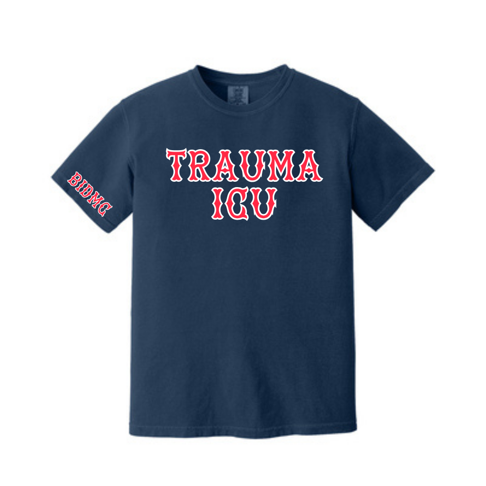 BIDMC TSICU TEE