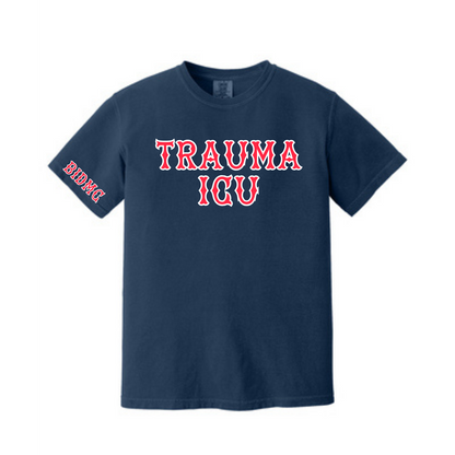 BIDMC TSICU TEE