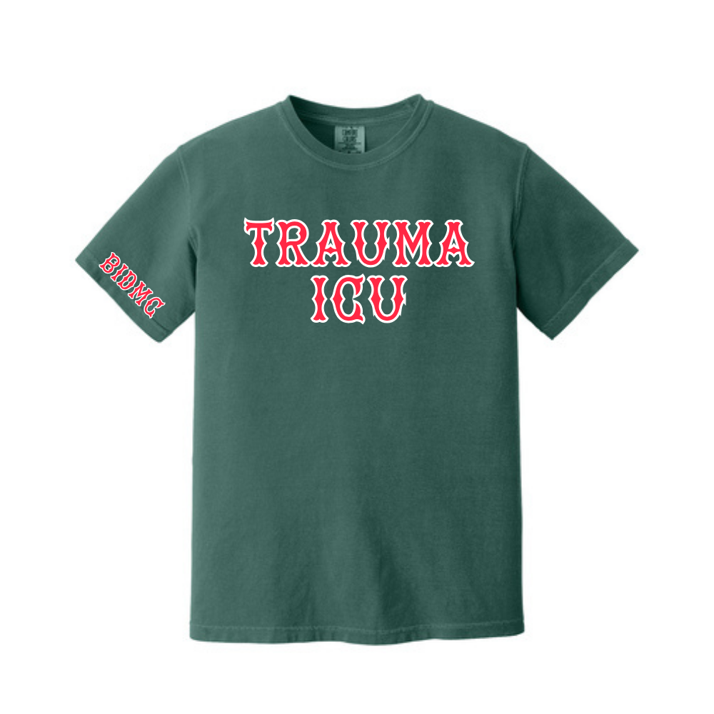 BIDMC TSICU TEE