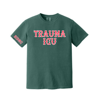 BIDMC TSICU TEE
