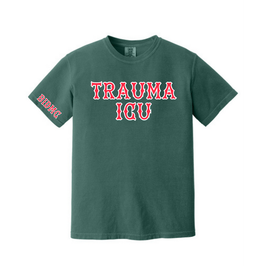 BIDMC TSICU TEE
