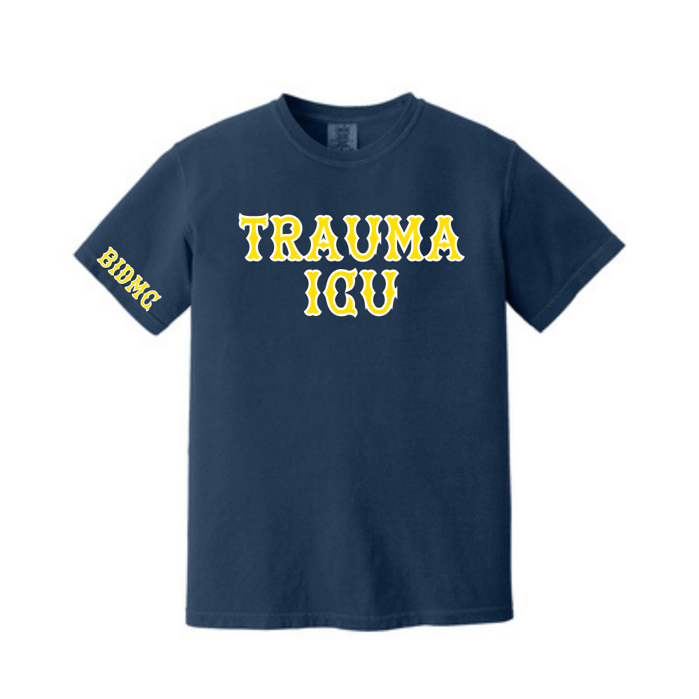 BIDMC TSICU TEE