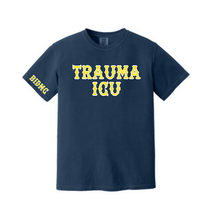 BIDMC TSICU TEE