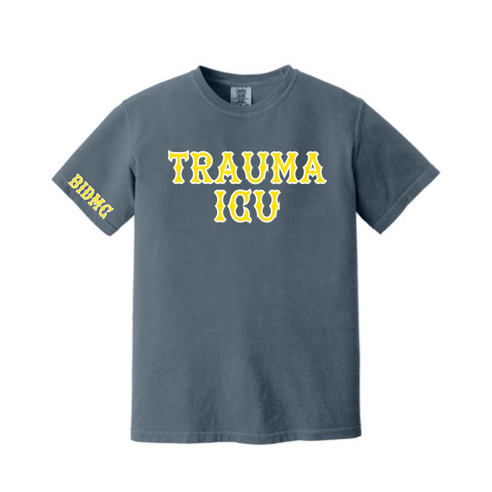 BIDMC TSICU TEE