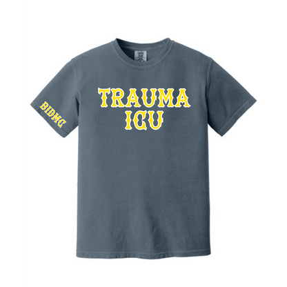 BIDMC TSICU TEE