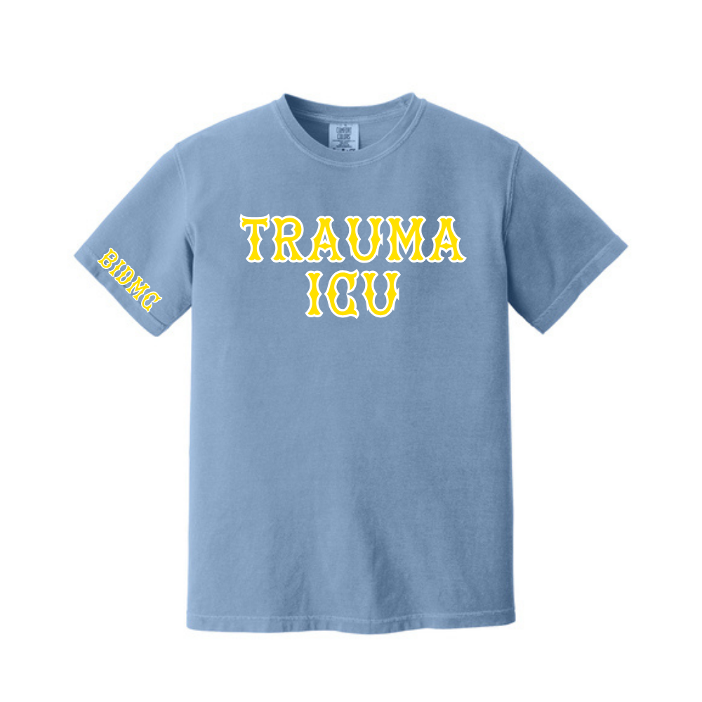 BIDMC TSICU TEE