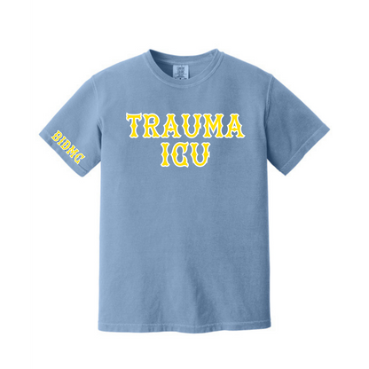 BIDMC TSICU TEE