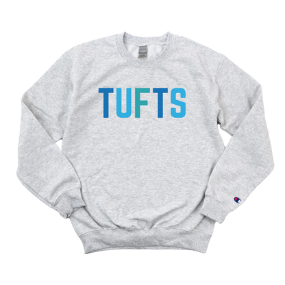 MULTICOLOR BLUE TUFTS CHAMPION CREWNECK