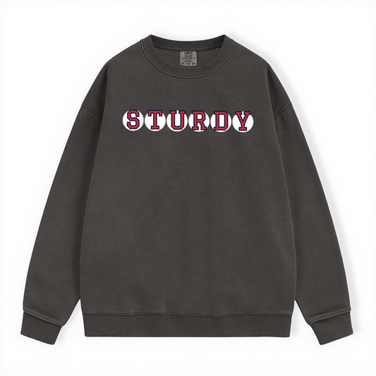 STURDY RETIRED SOX LETTER CREWNECK