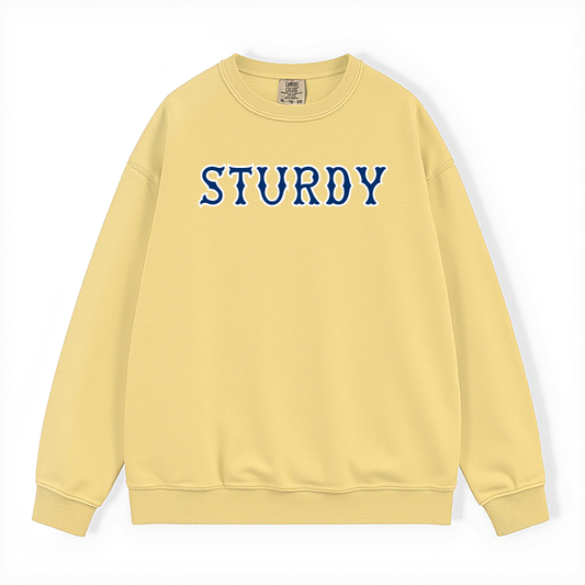 STURDY NAVY SOX LETTERS CREWNECK